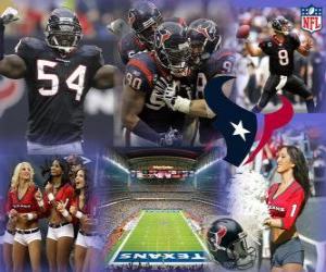 Puzzle de Houston Texans