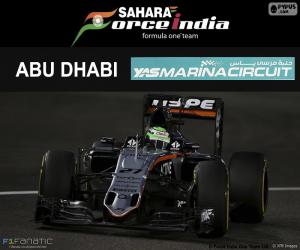 Puzzle de Hulkenberg, GP Abu Dhabi 16