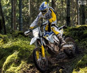 Puzzle de Husqvarna FE 501 2015