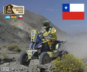 Puzzle de Ignacio Casale, Dakar 2014