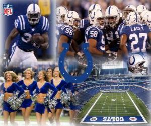 Puzzle de Indianapolis Colts