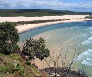 Puzzle de Isla Fraser, esta isla arenosa tiene 122 kilómetros de longitud y es la más grande del mundo en su género. Australia.