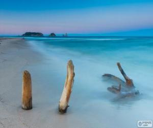 Puzzle de Islas Medes, Cataluña, España