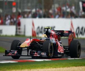 Puzzle de Jaime Alguersuari - Toro Rosso - Melbourne 2010