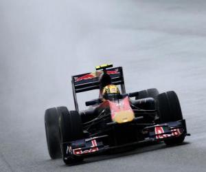 Puzzle de Jaime Alguersuari - Toro Rosso - Shanghai 2010