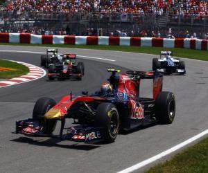 Puzzle de Jaime Alguersuari - Toro Rosso - Montreal 2010