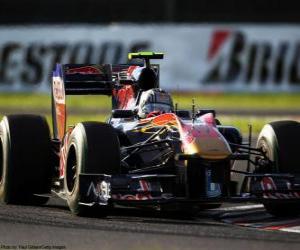 Puzzle de Jaime Alguersuari - Toro Rosso - Suzuka 2010