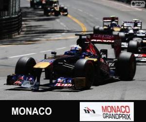 Puzzle de Jean-Eric Vergne - Toro Rosso - Montecarlo 2013