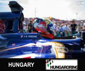 Puzzle de Jean-Eric Vergne - Toro Rosso - Hungaroring, 2013