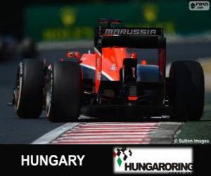 Puzzle de Jules Bianchi - Marussia - Hungaroring, 2013