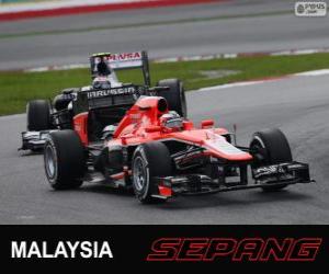 Puzzle de Jules Bianchi - Marussia - Sepang 2013