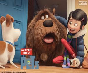 Puzzle de Katie, Max y Duke