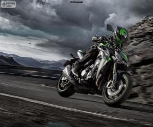 Puzzle de Kawasaki Z1000 2014