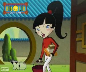 Puzzle de Kimiko Tohomiko, Xiaolin Dragón de Fuego, la única chica del equipo