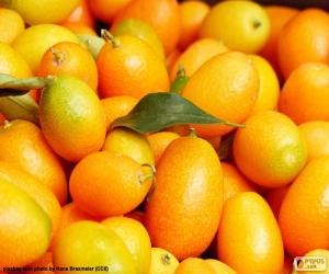 Puzzle de Kumquat