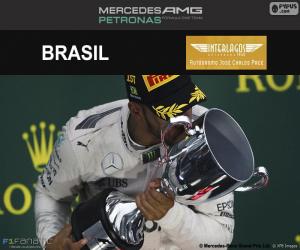 Puzzle de L. Hamilton, GP Brasil 2016