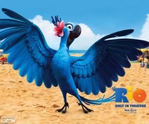Puzzle de La bella Jewel es un guacamayo hembra en la película Rio