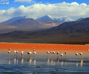 Puzzle de La Laguna Colorada, Bolivia