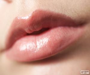Puzzle de Labios de mujer