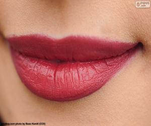 Puzzle de Labios pintados de rojo