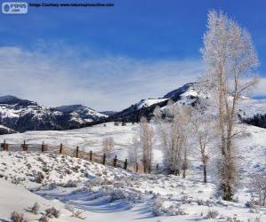 Puzzle de Lamar Valley, Parque Nacional de Yellowstone, Wyoming, Estados Unidos