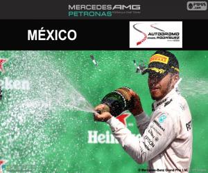 Puzzle de Lewis Hamilton, GP México 2016