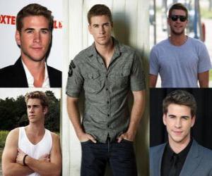 Puzzle de Liam Hemsworth es un actor australiano