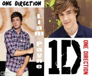 Puzzle de Liam Payne, One Direction