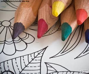 Puzzle de Libro de colorear