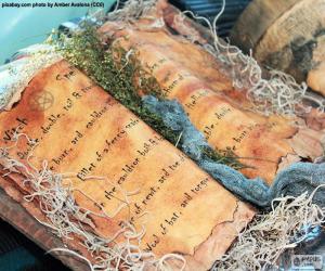 Puzzle de Libro de hechizos