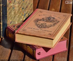 Puzzle de Libros viejos