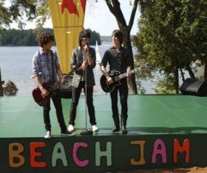 Puzzle de Los hermanos Shane (Joe Jonas), Nate (Nick Jonas) y Jason Grey (Kevin Jonas) cantando en el Beach Jam de Camp Rock