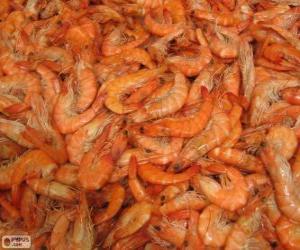 Puzzle de Los langostinos