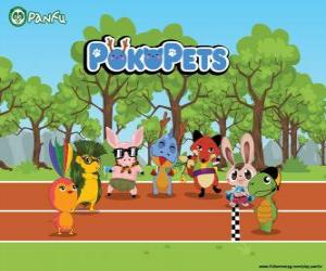 Puzzle de los Pokopets nuevos personajes de Panfu