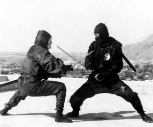 Puzzle de Lucha entre dos ninjas
