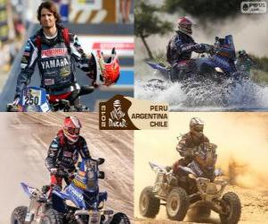 Puzzle de M. Patronelli, Dakar 2013