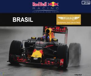 Puzzle de M. Verstappen, GP Brasil 16