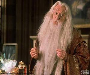 Puzzle de Mago, brujo o hechicero