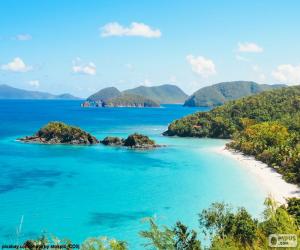 Puzzle de Mar tropical