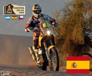 Puzzle de Marc Coma, Dakar 2014