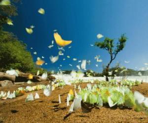 Puzzle de Mariposas