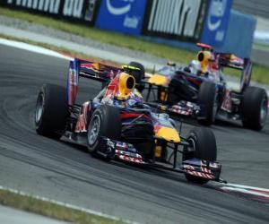 Puzzle de Mark Webber - Red Bull - Estambul 2010