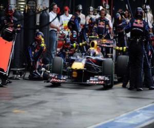 Puzzle de Mark Webber - Red Bull - Melbourne 2010
