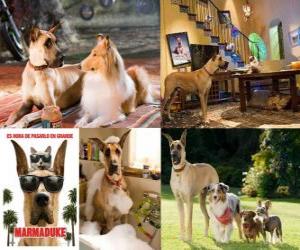 Puzzle de Marmaduke, junto al gato Carlos y los amigos del parque canino.
