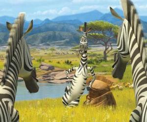 Puzzle de Marty hablando con otras cebras