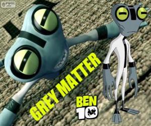 Puzzle de Materia Gris o Grey Matter, Ben 10