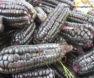 Puzzle de Maíz negro