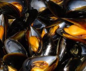 Puzzle de Mejillones o choros al vapor