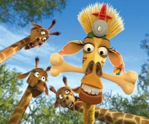 Puzzle de Melman la jirafa, disfrazada bajo la curiosa mirada de otras jirafas