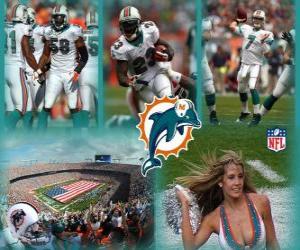 Puzzle de Miami Dolphins
